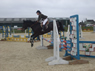Horse Jumping Fence