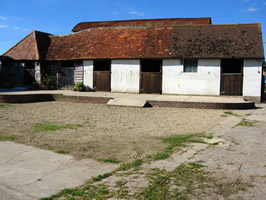 Horse Stable